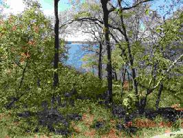 394 LAKE BLUFF DRIVE SOUTH