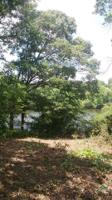 225 County Road 2245