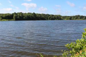 Lot 9 County Road 1506