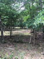 lot 88 holly trail east