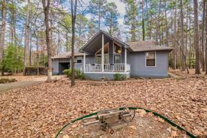 229 Weeping Willow Cv