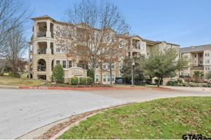 3363 Cascades Blvd Unit 223