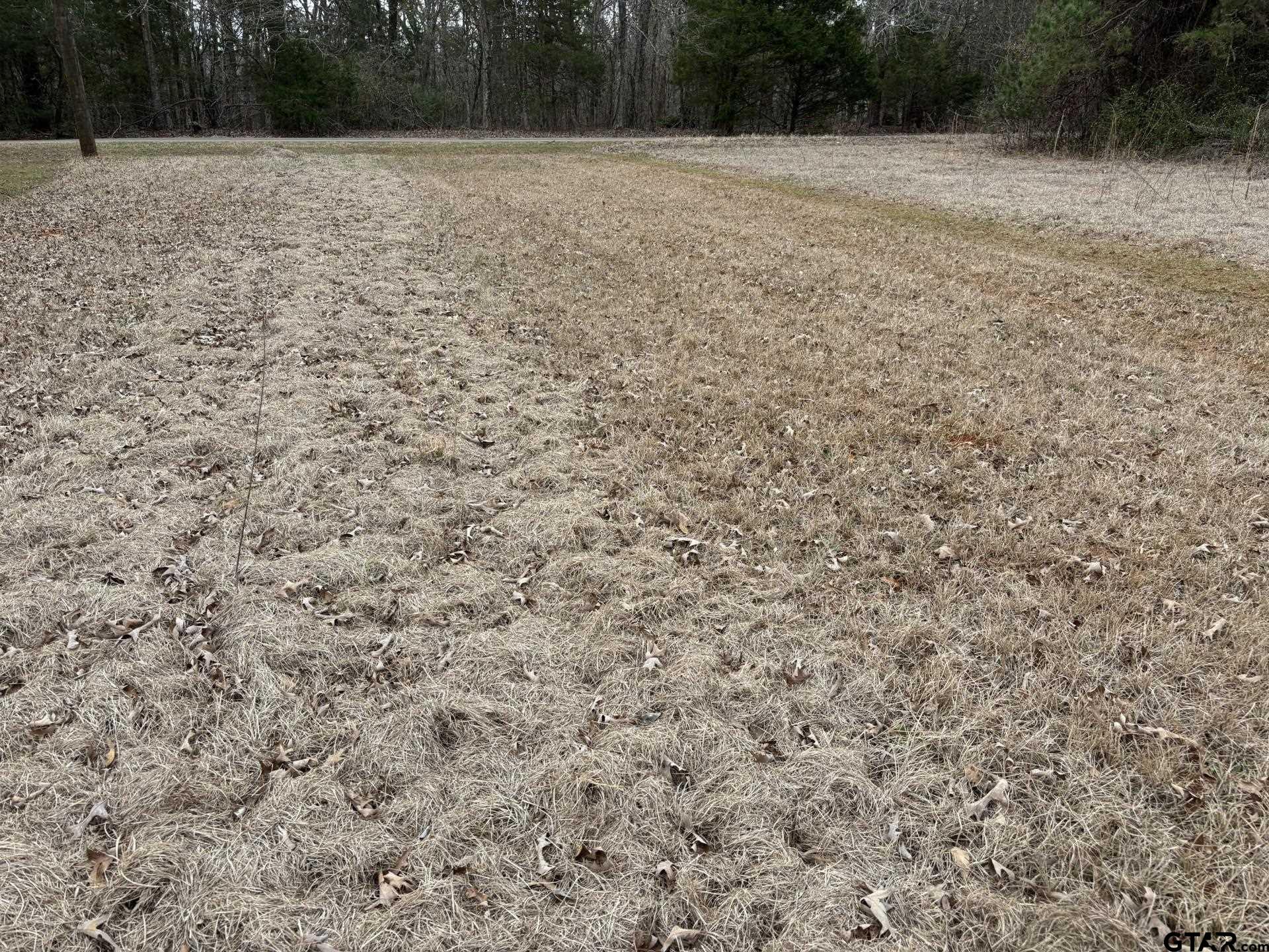Image 0: Level Cleared Lot!
