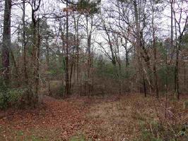 Lot 14 East Lake Estates
