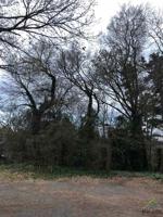 210 Pinewood Dr