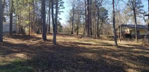 18244 N LAKEVIEW DR