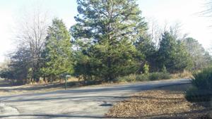 Almosa Lane, Lot 64