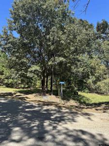 TBD Spring Creek Dr