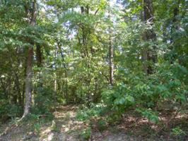 2-98 Holly Trail W