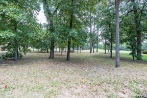 173 Dogwood Lakes