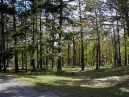 Lot 34&37 PR 52363 & PR 52364