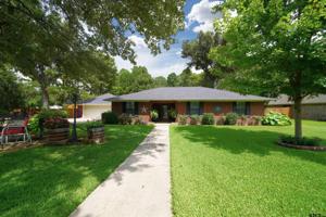 17410 Mary Martin Dr
