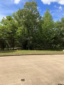 2433 Wellington Trace