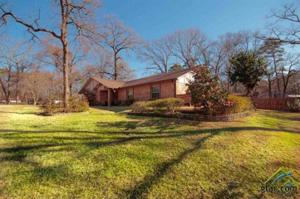 18069 Lookout Lake Circle