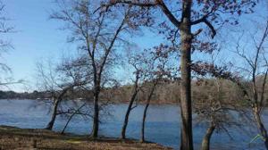 303 County Road 1445