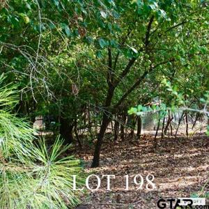 LOT 198 (SEC 9) TBD Holly Trail East