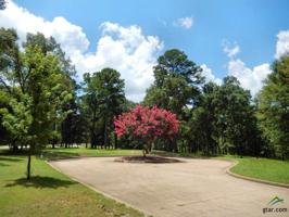 196 Eagles Peak Dr. S