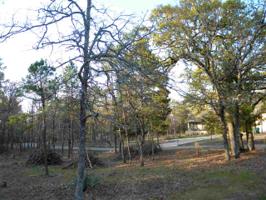 Lot 210 Section 8 Magnolia Lane