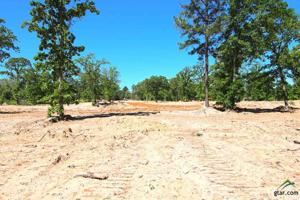 TBD Wyndham Trail