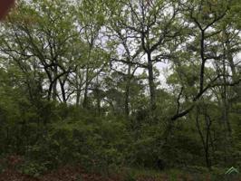 0 Creeks End Trail