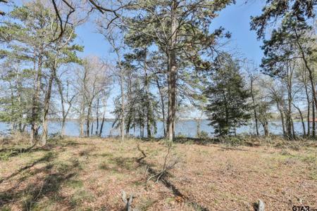 3102 Shadow Pine Dr Lot 1