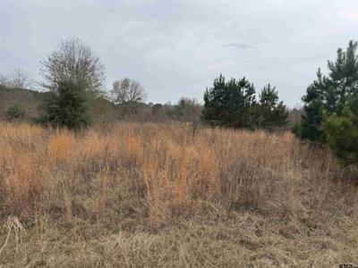 1335 San Saba