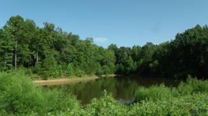 lot 20 PR 52444