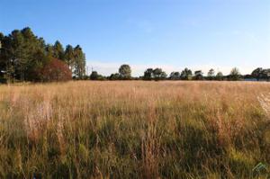 Lot 20 PR 5986