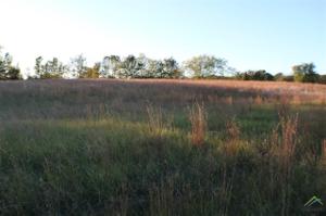 Lot 33 PR 5986
