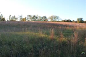 Lot 32 PR 5986
