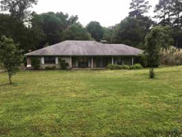 17206 Forest Ln (CR 2302)
