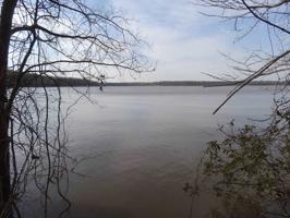 lot 8 PR 52420