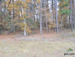 Lot 318 Cardinal Lane