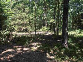 Lot 25 Pharo Court