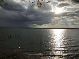 45.179 ACRES FM 2661