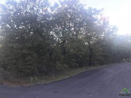 Lots 1 and 2 CR 2258
