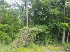 183 SPANISH OAK TRAIL