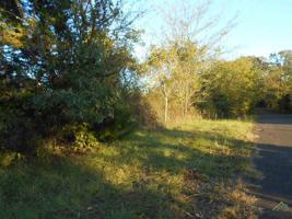 TBD COUNTY ROAD 1236
