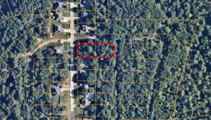 Lot 369 & 384 Neely Dr.