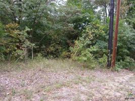 tbd Long Shadow