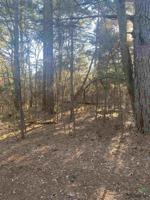 lot 19 and 20 Wild Lake