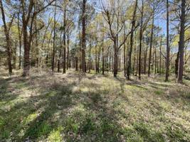 TBD Cardinal Ln