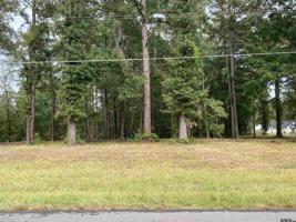 TBD WILSON RD.