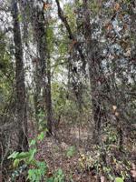 Lot 35 Lookout Lake Cir