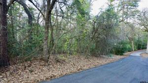 Lot 285 W Holly Trail