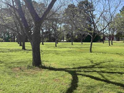 Lot 3 Pecan Gr. Pineda St.