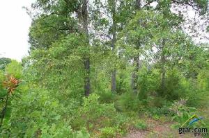 00 County Road 3360