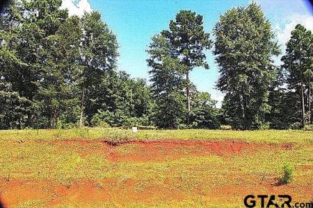 970 Stone Chimney Rd. (Lot 16 CR 3608)