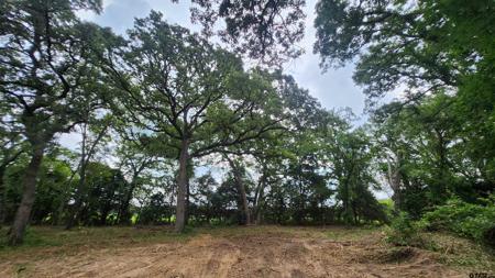 Lots 4,5,6 Holly Glen