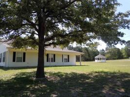 363 Alamosa